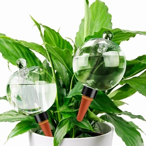 19 oz Extra Large Plant Self Watering Globes Top Fill, Plastic Water Bulbs, Slow Release Terracotta Self Watering Planter Insert, Plant Watering Devices System Water Plants While Away, 2 Pack