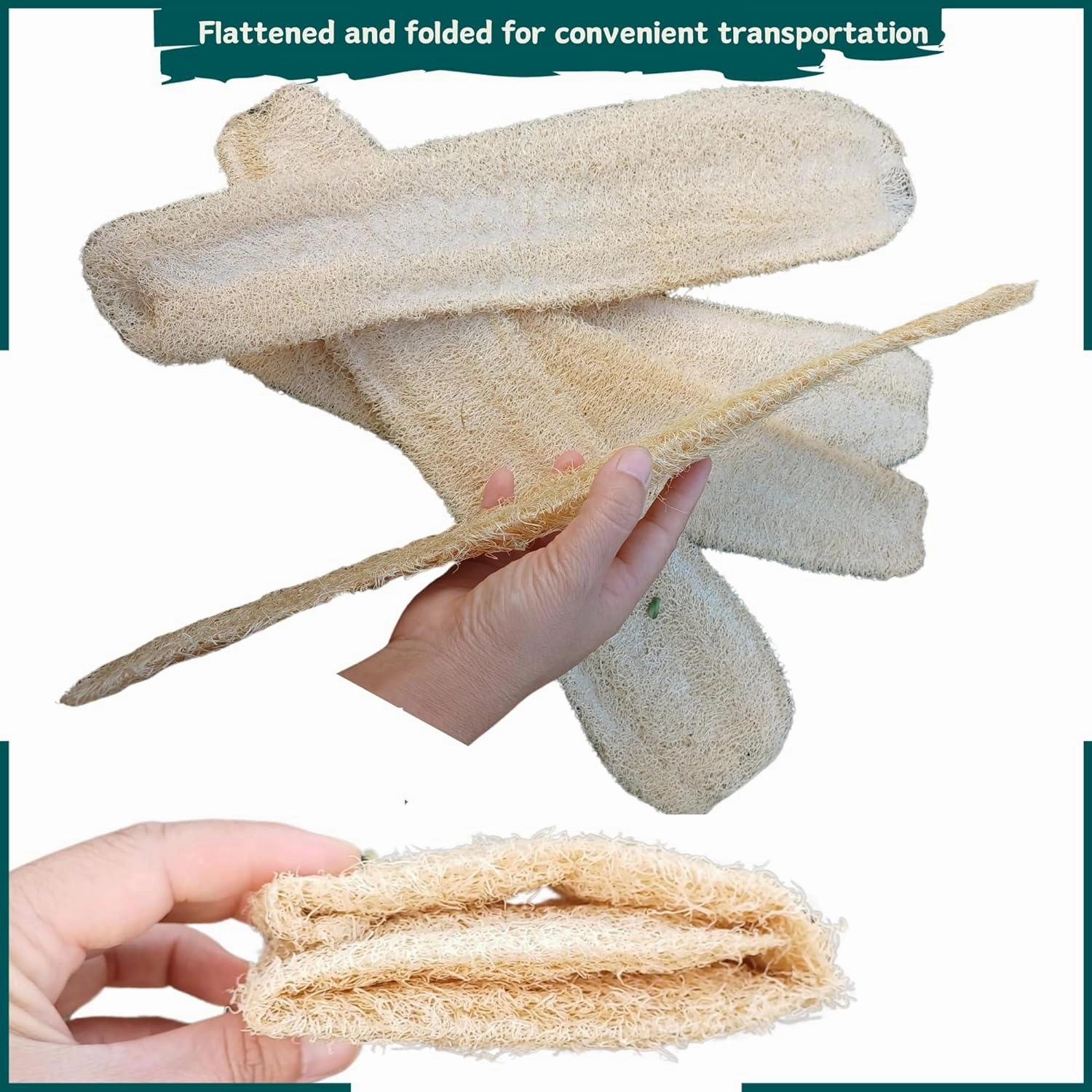 5 Pcs (16 – 18 Inches) Natural Loofah Sponge | Organic Loofah | Shower Loofah Exfoliating Body Scrubber | Bath for Loofah for Men and Women | (5 - Pack)