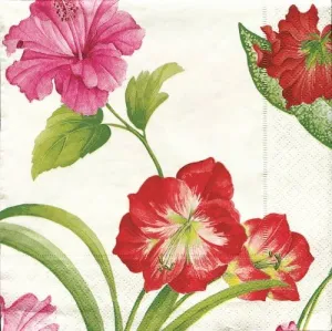 Caspari Set of 2 Tropical Spendor Set of 20 Paper Lunch Napkin, Ivory