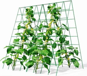 Cucumber Trellis 2 Pack, 48"x34" Garden Trelli for Climbing Plants, 5mm Thickness for Raised Bed, Plant Trelli Plant Grow Support for for Vegetables, Tomatoes, Beans and Cucumber