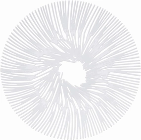 Koziol Anemone Bowl, Solid White