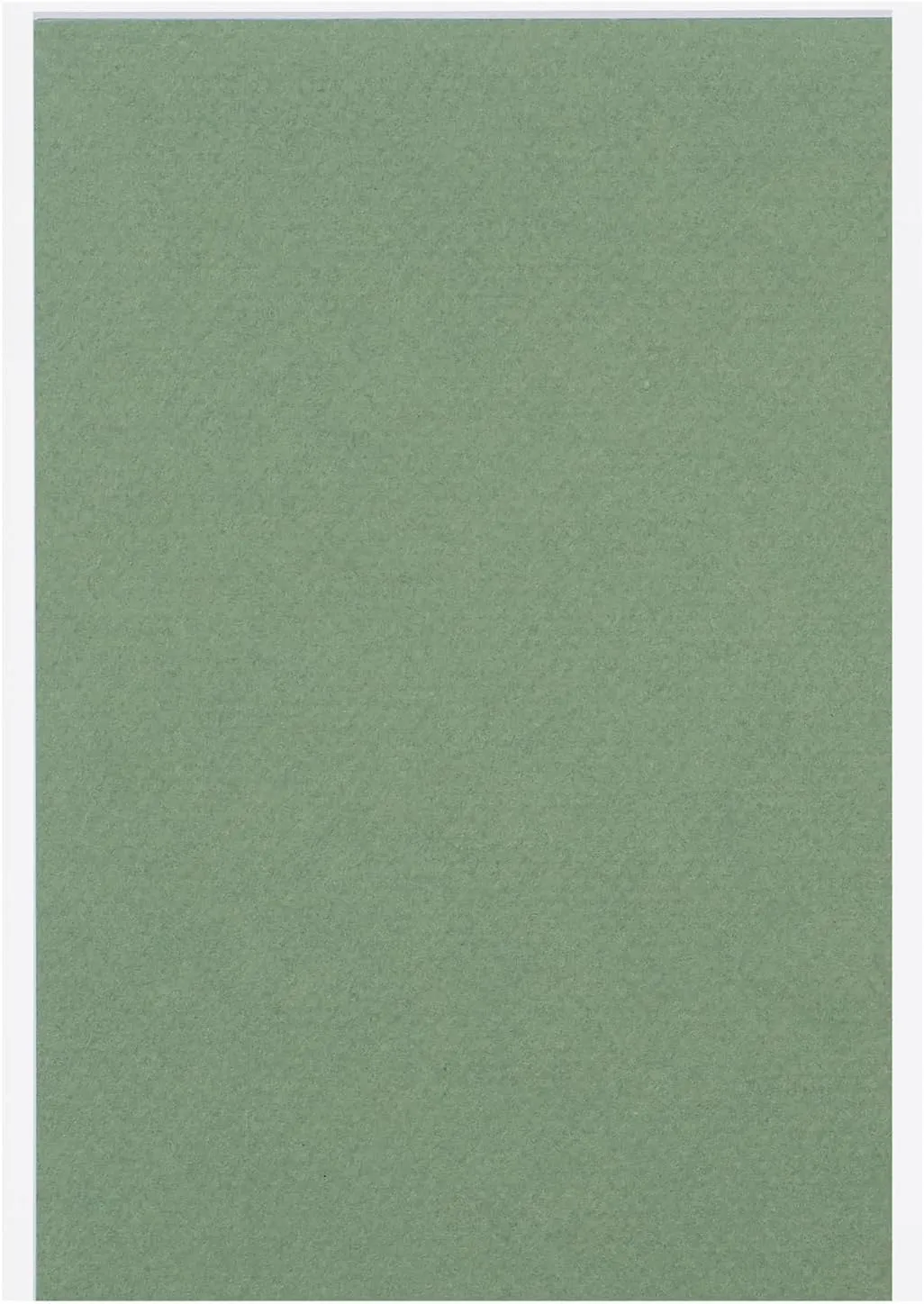 Maruman POST190PA Colored Drawing Paper Mittant Postcards, 20 Sheets, Sage Green