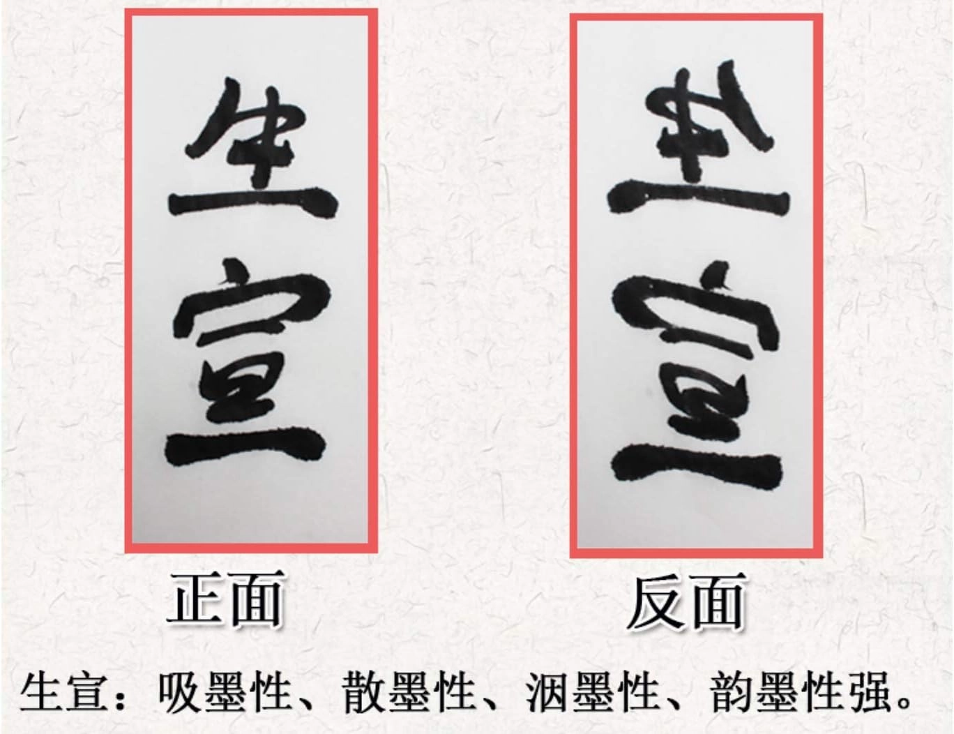 MEGREZ Chinese Japanese Calligraphy Xuan Paper, Rice Paper Sumi Calligraphy Paper for Calligraphy Brush Ink Writing, Painting Without Grids 100 Sheets/Bag,27.1 x 54.3inch, Sheng (Raw) Xuan