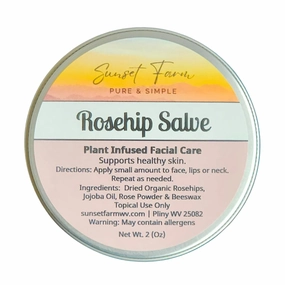 Rosehip Salve Herbal Balm Skin Body Care Face Lip Balm Ointment 2 oz