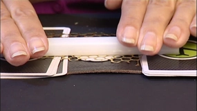Silver Clay Made Simple DVD