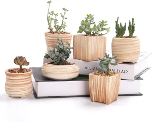 Sun-E 3 Inch Ceramic Wooden Pattern Succulent Plant Pot Cactus Plant Pot Flower Pot Container Planter Gift Idea 6 in Set