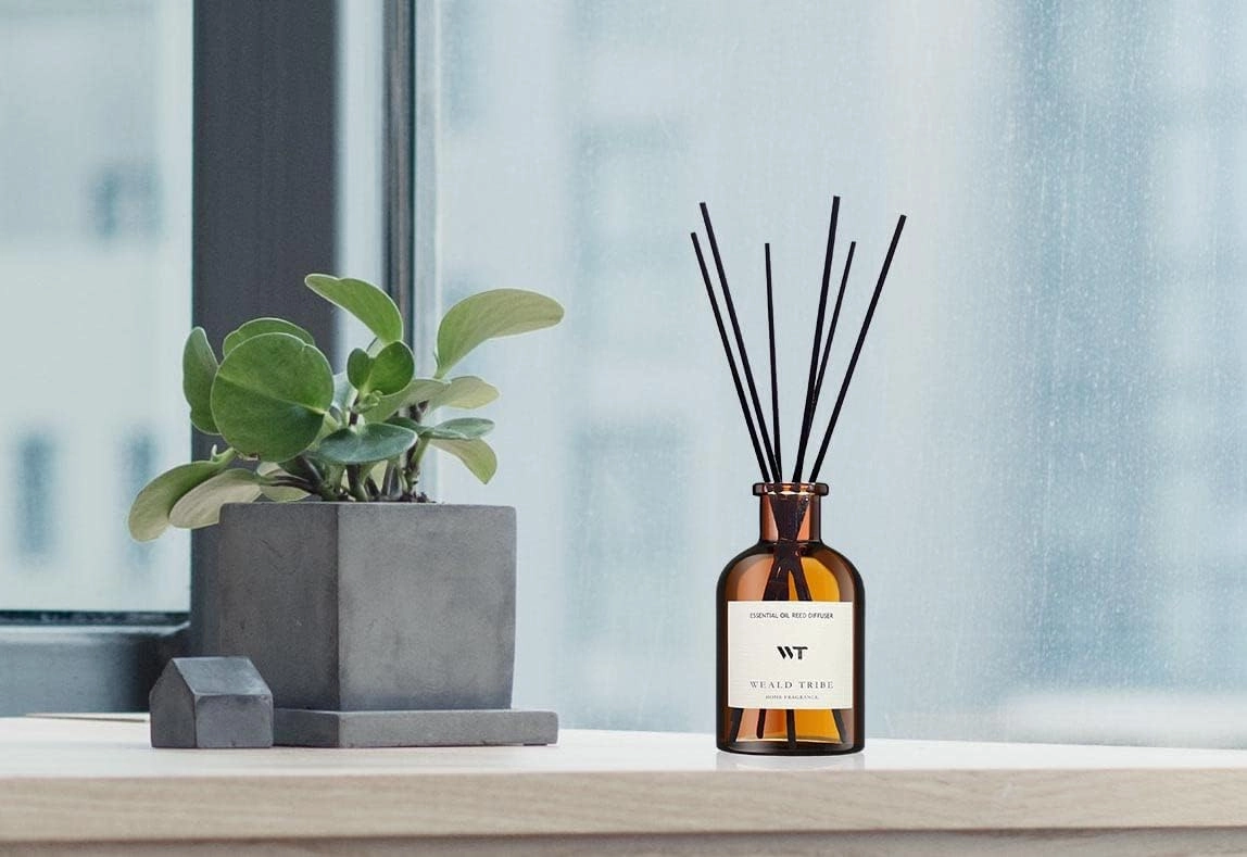 WEALD TRIBE Reed Diffuser Set for Bathroom Air Fresheners, Oil Diffuser Sticks with Flower | Eucalyptus & Mint Scent 4.0 fl oz Home Fragrance with Sticks Defusers | House Bedroom Office Shelf Decor